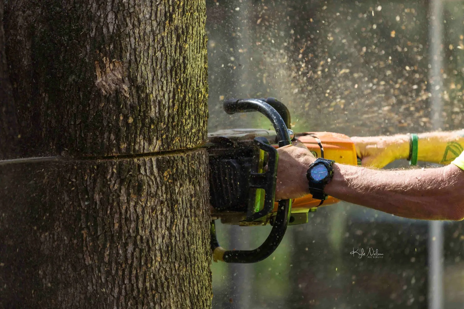 Bend Oregon business photography tree service chainsaw