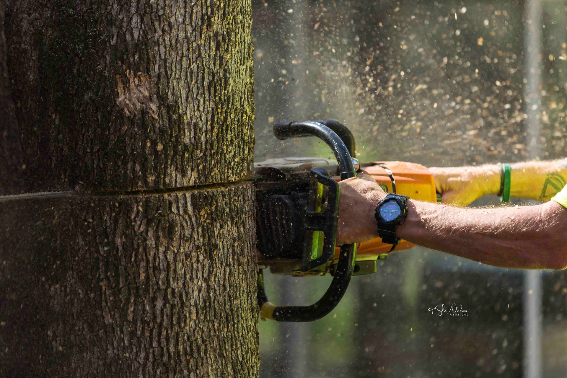 Bend Oregon business photography tree service chainsaw